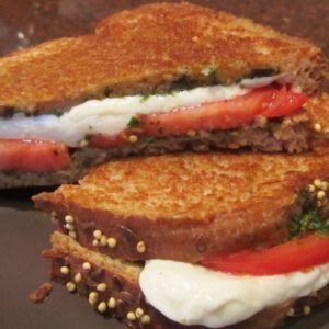 Tomato Mozzarella Panini